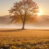 Când începe toamna în 2025? Două date pentru debutul meteorologic și calendaristic al sezonului