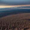 Un milion de hectare de pădure devastate: Europa înregistrează cel mai grav sezon de incendii din istorie din cauza crizei climatice