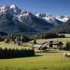 Ursul a atacat un ponei într-o grădină zoologică din Tirol: Tensiuni între autorități și localnici după mai multe incidente