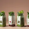 Sănătate prin pahar: 6 băuturi care influențează pozitiv nivelul colesterolului