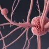 Alertă de E. coli (EHEC): Copii spitalizați în Germania, decese în Belgia – O nouă amenințare la adresa sănătății publice
