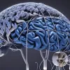 Ziua Mondială Alzheimer, 21 septembrie: Milioane de vieți afectate și apel la conștientizare