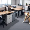Biroul cu "efect wow": în această companie germană, sunt mai mulți câini decât angajați