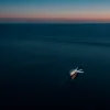 Avion de recunoaștere rusesc Il-20M, interceptat de NATO deasupra Mării Baltice