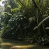 Miracolul din Columbia: Povestea celor patru frați care au supraviețuit 40 de zile în jungla Amazonului, transpusă într-un documentar Disney+