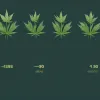 Studiu în Germania: Legalizarea parțială a canabisului a redus consumul la adolescenți, dar l-a crescut la tinerii adulți