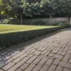 Amenzi pentru buruieni pe trotuar: Cine este responsabil pentru curățenia din fața casei?