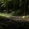 Crimă în paradisul turistic: Cuplu german găsit ucis și îngropat în Costa Rica, motivul – jaf