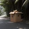 Miracol la marginea drumului: O femeie din Filipine a găsit un nou-născut abandonat într-o cutie de carton