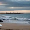 Atac fatal de rechin lângă Sydney: un surfer a murit, plajele au fost închise