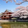 Prințul Hisahito: O ceremonie solemnă confirmă drumul său spre tronul imperial al Japoniei