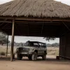 Un îngrijitor de animale a fost sfâșiat de lei într-un parc safari din Thailanda, sub privirile turiștilor