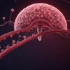 Sepsisul – "ucigașul tăcut": cum recunoaștem infecția generalizată și salvăm vieți?