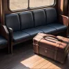 Furt de instrument muzical de colecție: O violă din secolul al XVIII-lea, dispărută dintr-un tren S-Bahn din Stuttgart
