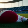 Scandal de securitate la EURO 2024: Star YouTube, acuzat după o farsă cu mascota