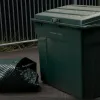 Șoc în Germania: Python de 3 metri, găsit mort lângă un container de haine