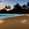 Un pui de elefant adorabil se bucură de vacanță pe plaja din Phuket: video-ul care a topit inimile