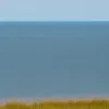 Fenomen rar: Balenă cu cocoașă observată în Marea Baltică, lângă insula Hiddensee