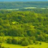 Lupi bolnavi ajung în sate - Lupi cu râie străbat Saxonia-Anhalt