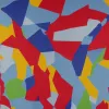 AfD amână noul program de principii de teamă unui conflict uriaș
