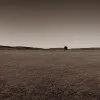 Tragicul western al lui Baldwin, «Rust» – Mai poate fi vizionat acest film fără rezerve?
