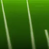Vedeta din Premier League îl lovește pe arbitru și îl scoate de pe teren