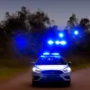 Șofer de 22 de ani, prins beat la volan cu girofar în Stedesand